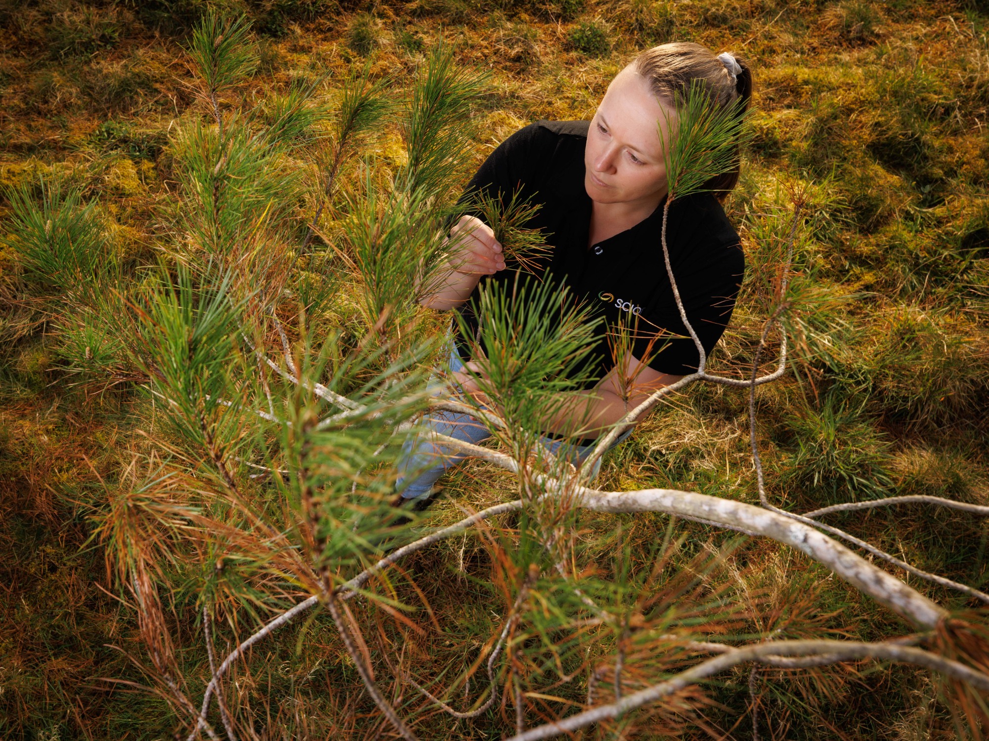 Image of scientist Emily McLay undertaking fieldwork.