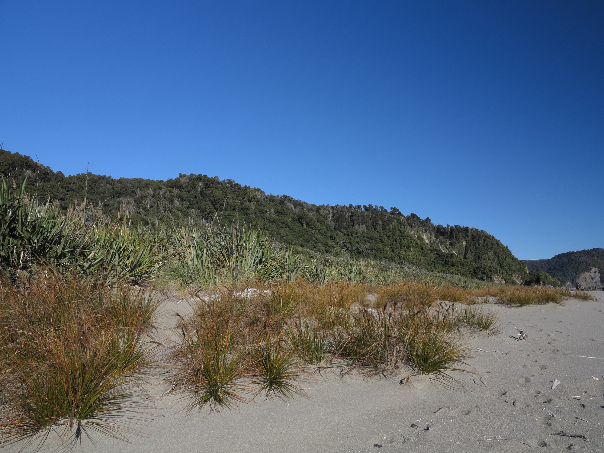 Active dune, Stafford Bay. Image: Adrian Monks.