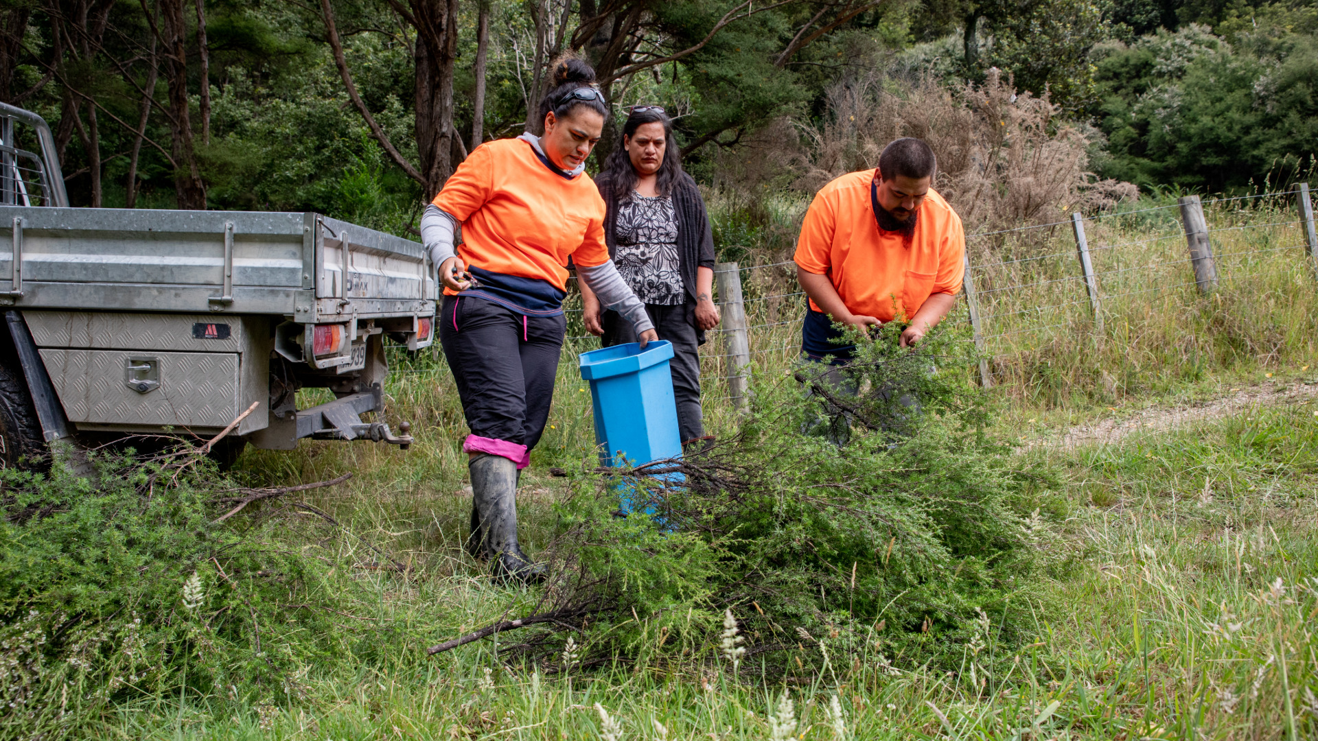 Bella Paenga and whānau harvesting Kānuka from their whenua
