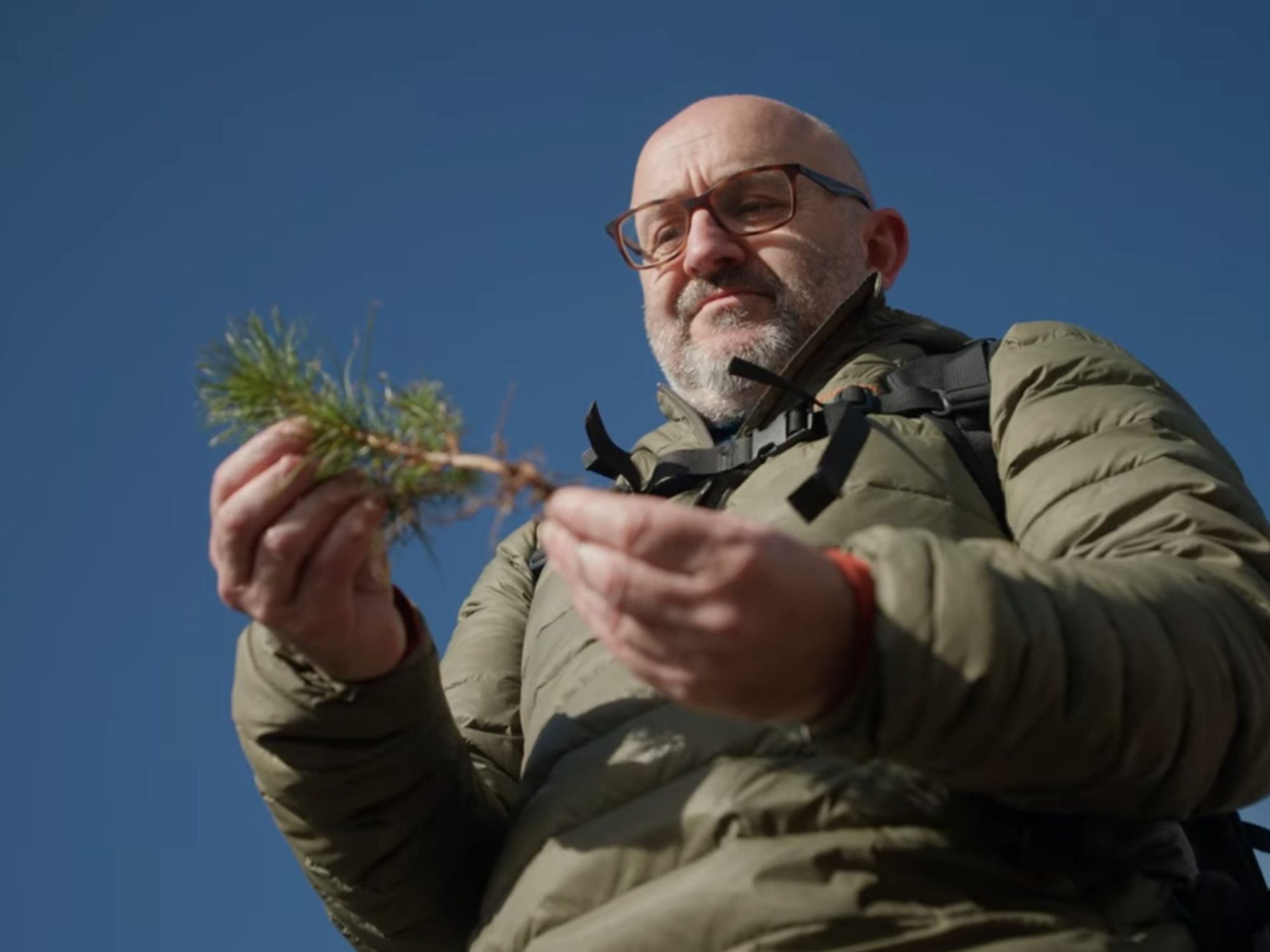 Thomas Paul with a wilding conifer seedling