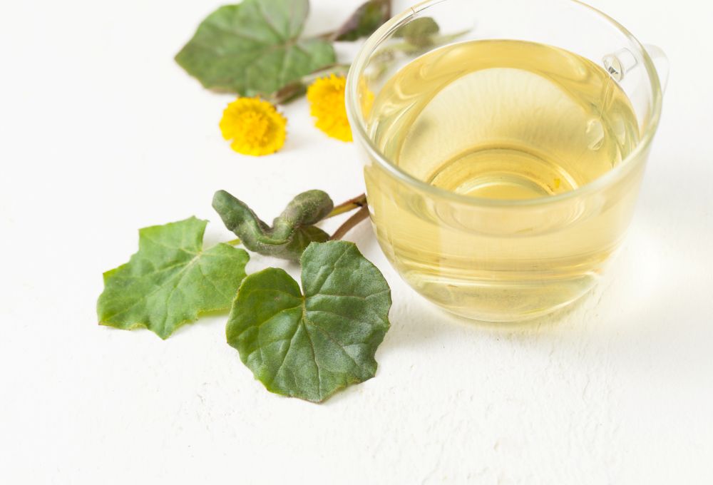 Herbal tea in a cup with leaves on a table