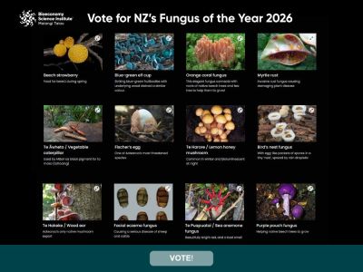 Vote for NZ's Fungus of the Year 2026