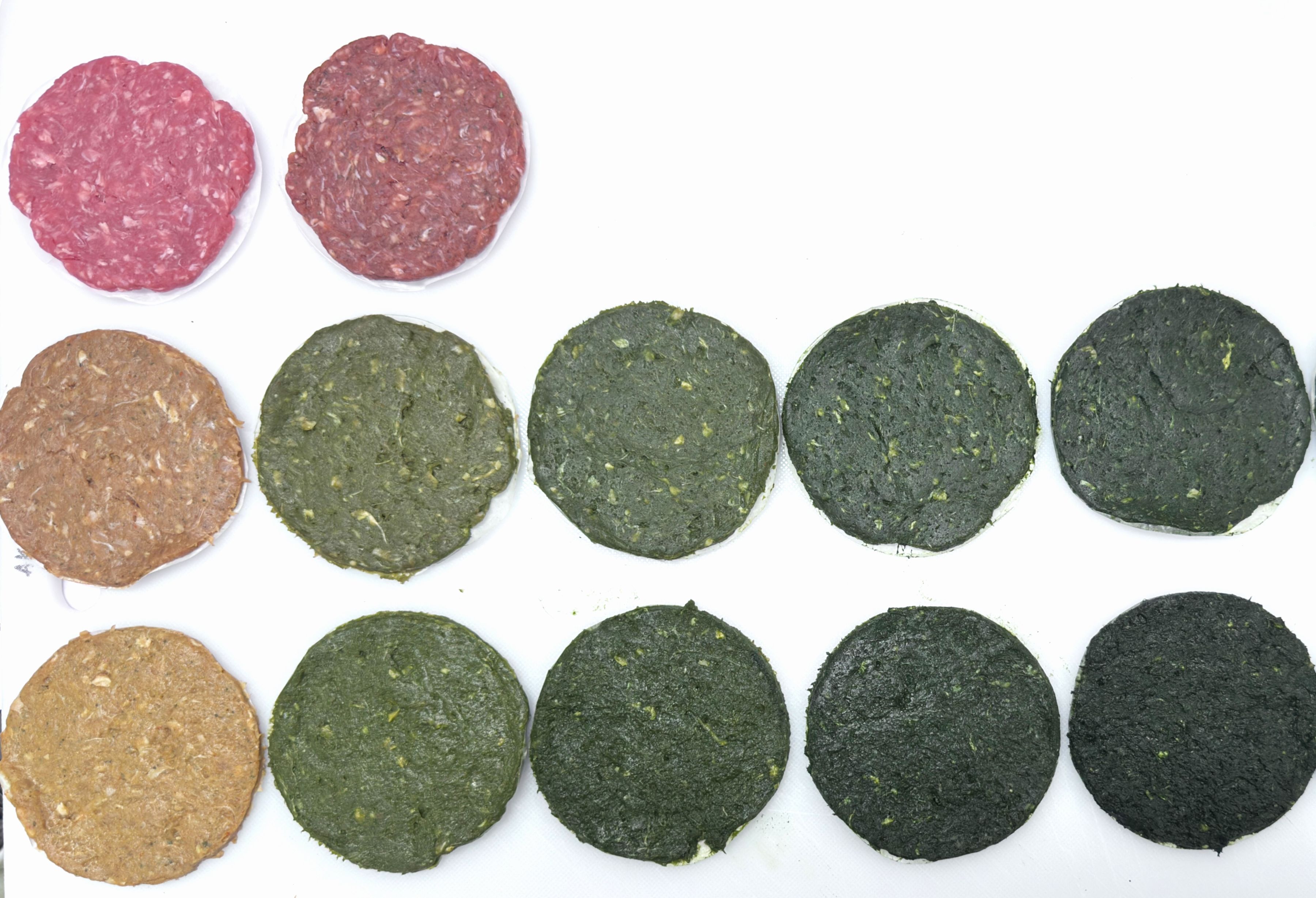 Dr Renyu Zhang has been new hybrid meat patties.
