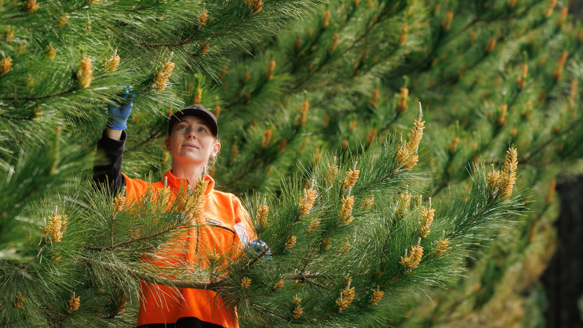 Forest scientist Lottie Armstrong in the field