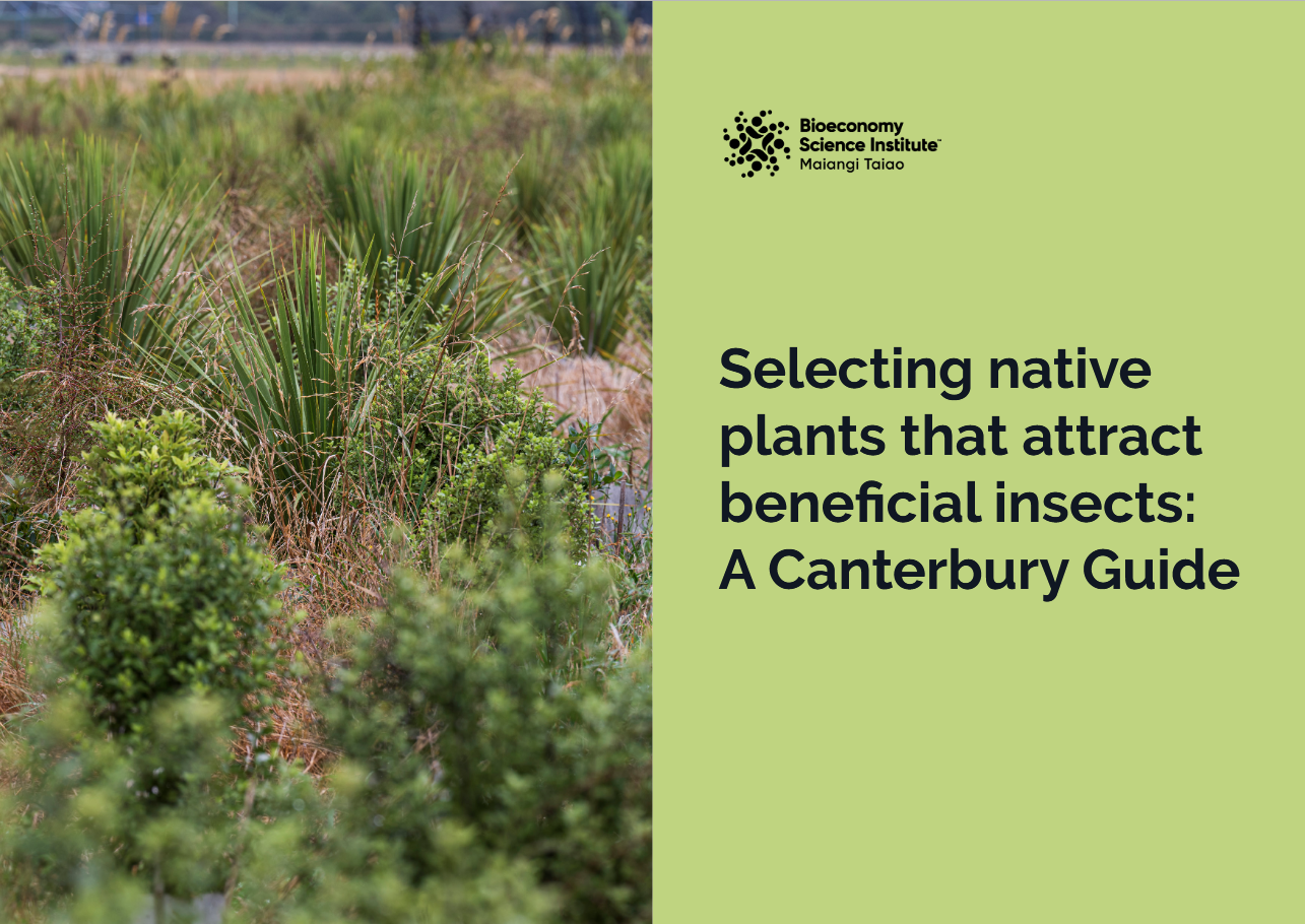 Cover: Selecting native plants that attract beneficial insects: A Canterbury Guide