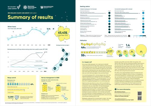 Colony Loss 2025 Summary Infographic