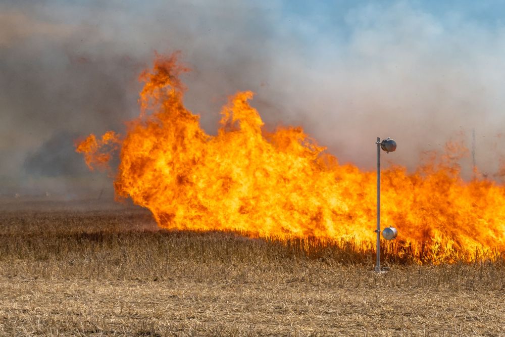 Fire in a field of grass stubble.
