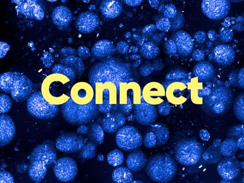 Connect newsletter - Nov 25