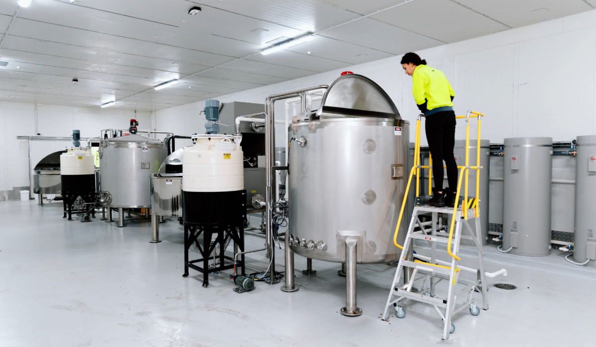 Commercial seaweed nanocellulose biorefinery